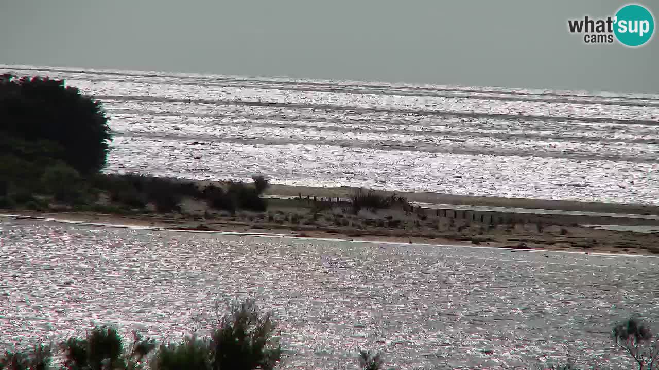 Webcam Chia – Live View of Su Giudeu Beach