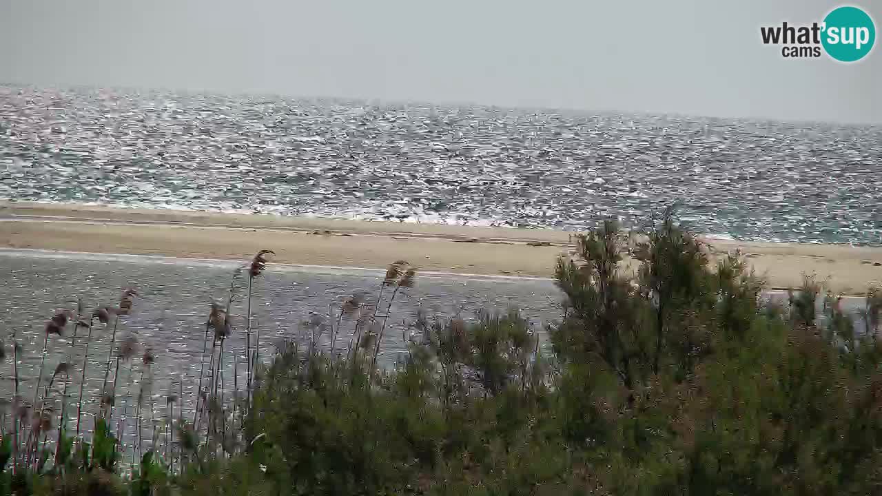 Webcam Chia – Spiaggia Su Giudeu in diretta