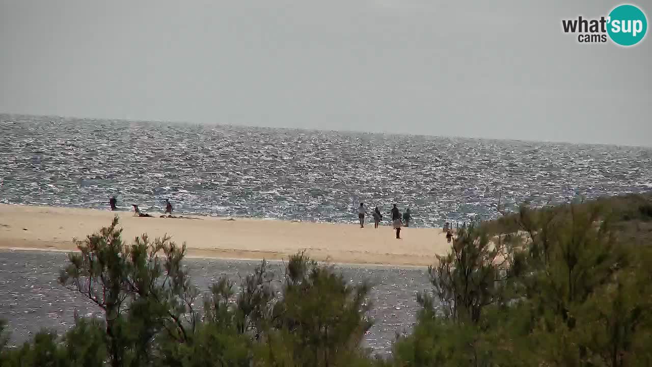 Webcam Chia – Liveblick auf den Strand Su Giudeu