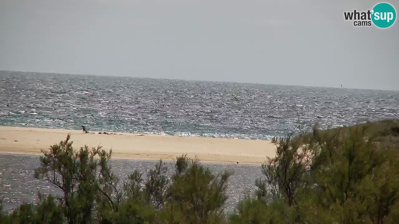 Webcam Chia – Live View of Su Giudeu Beach