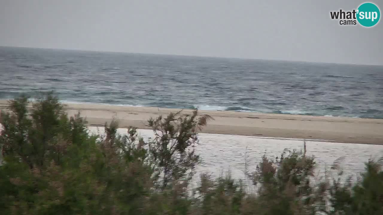 Webcam Chia – Vista en directo de la playa Su Giudeu