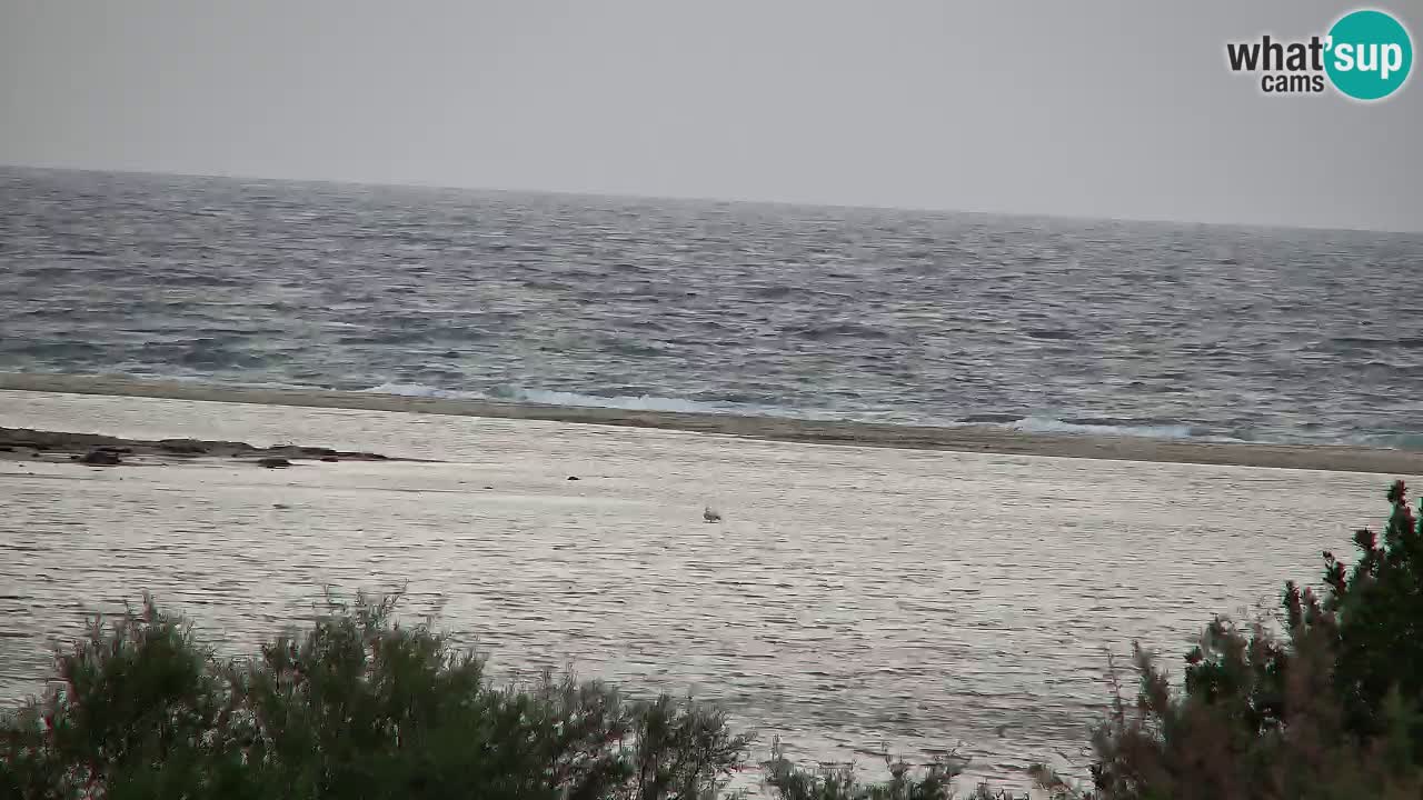 Webcam Chia – Spiaggia Su Giudeu in diretta