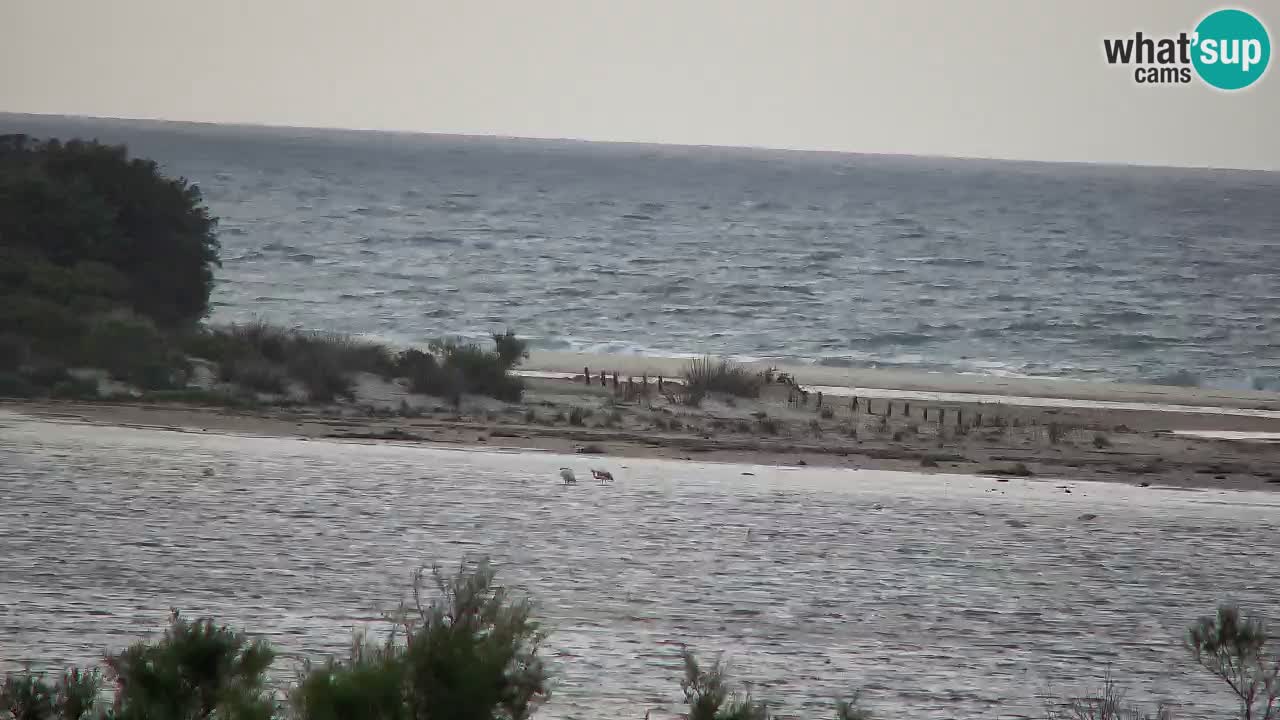Webcam Chia – Liveblick auf den Strand Su Giudeu