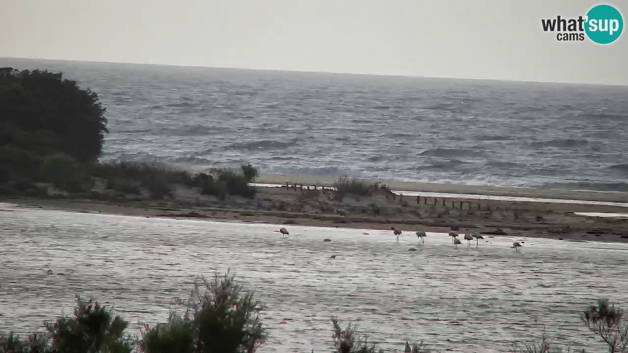 Web kamera Chia – Pogled uživo na plažu Su Giudeu