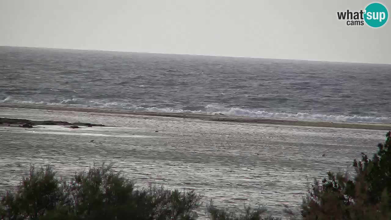 Webcam Chia – Live View of Su Giudeu Beach