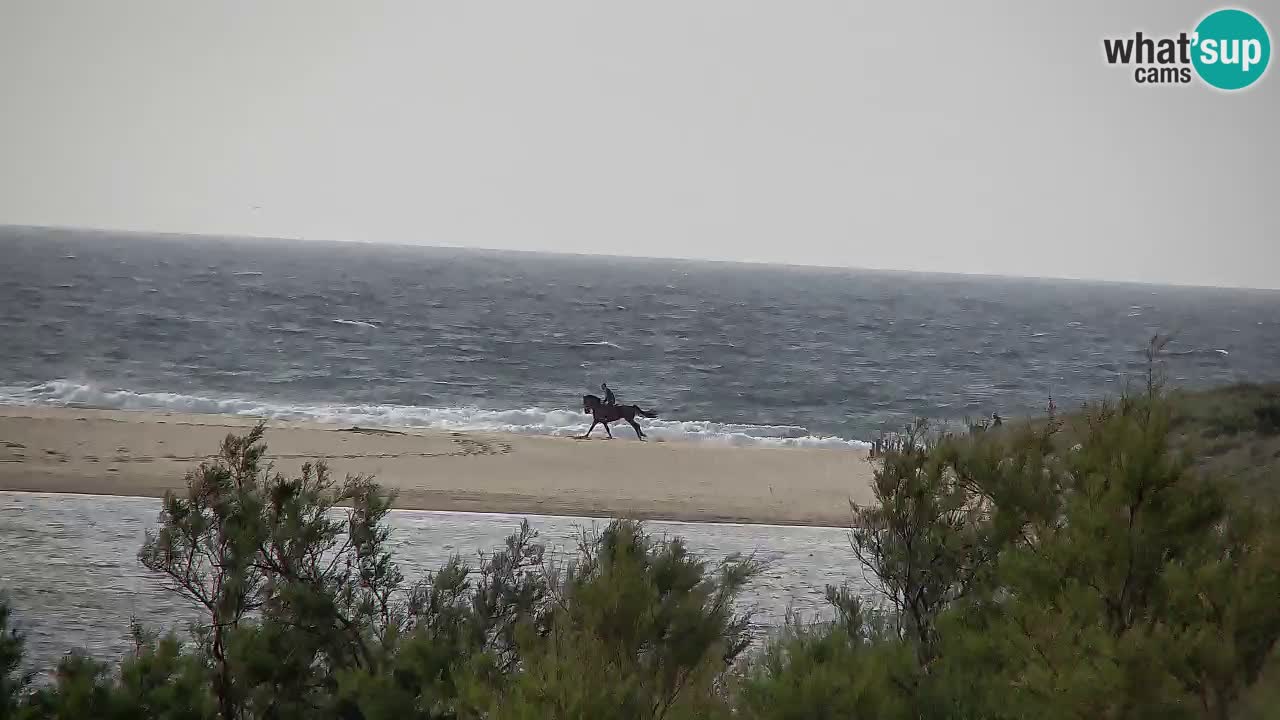 Webcam Chia – Live View of Su Giudeu Beach