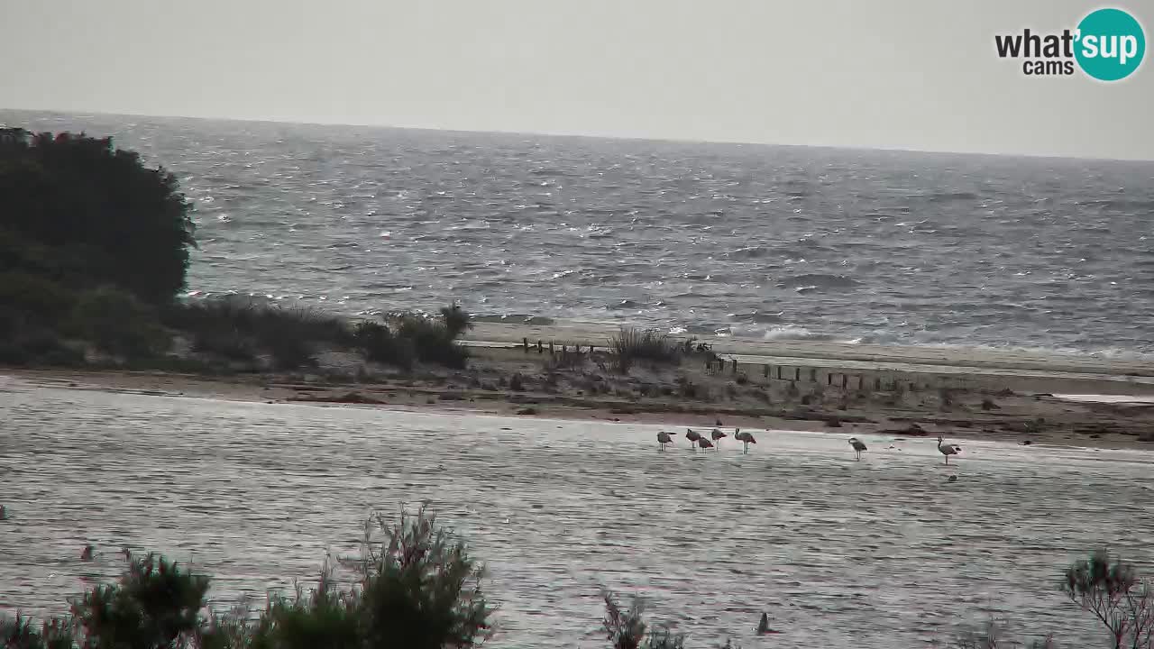 Webcam Chia – Liveblick auf den Strand Su Giudeu