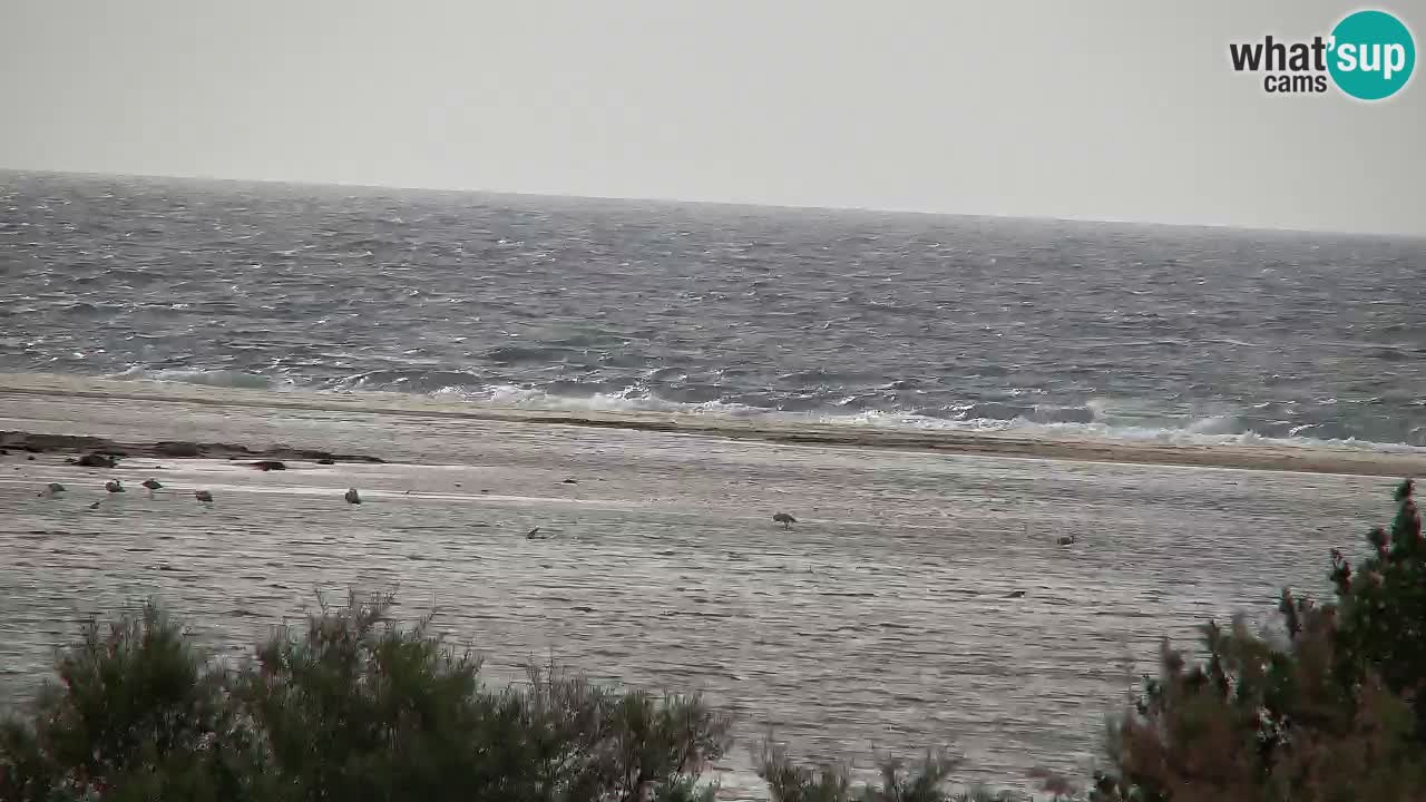 Spletna kamera Chia – Pogled v živo na plažo Su Giudeu