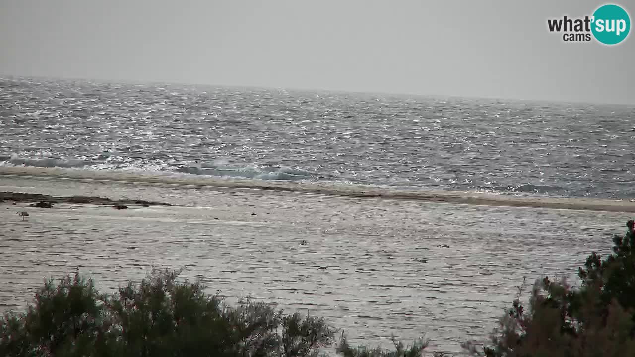 Webcam Chia – Vue en direct de la plage Su Giudeu