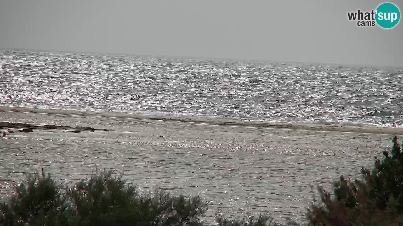 Webcam Chia – Live View of Su Giudeu Beach