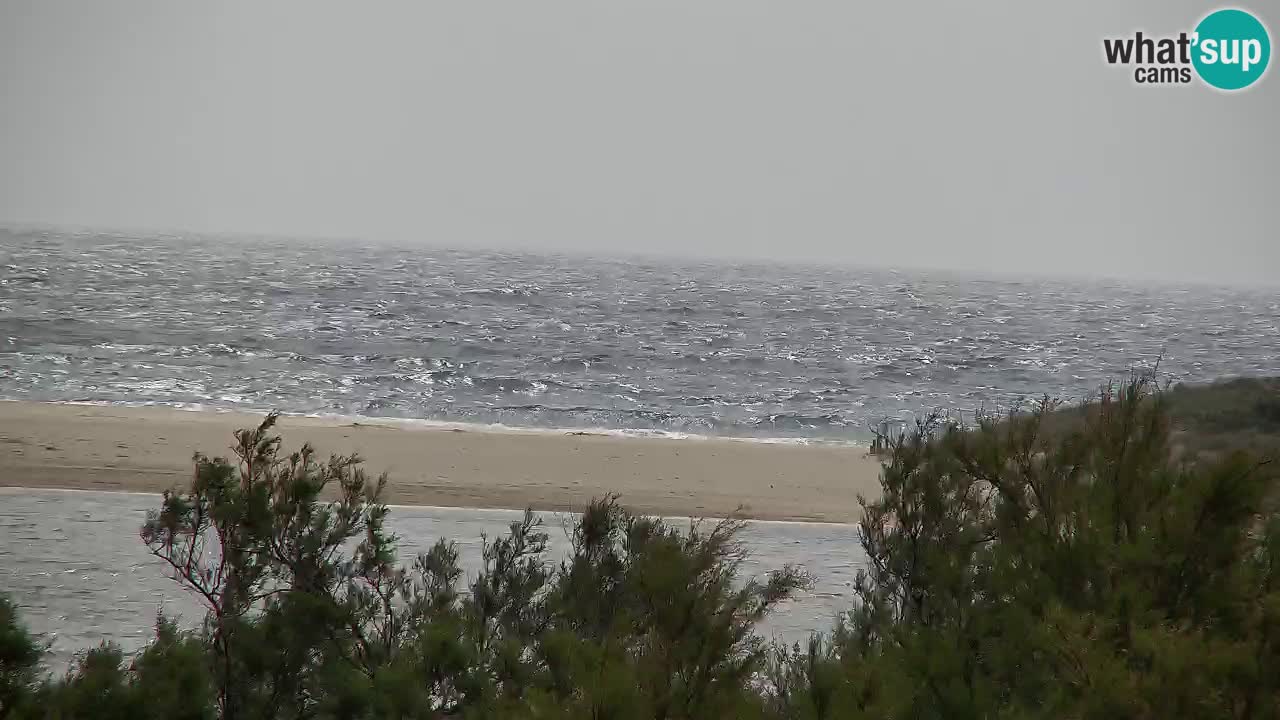 Webcam Chia – Vue en direct de la plage Su Giudeu