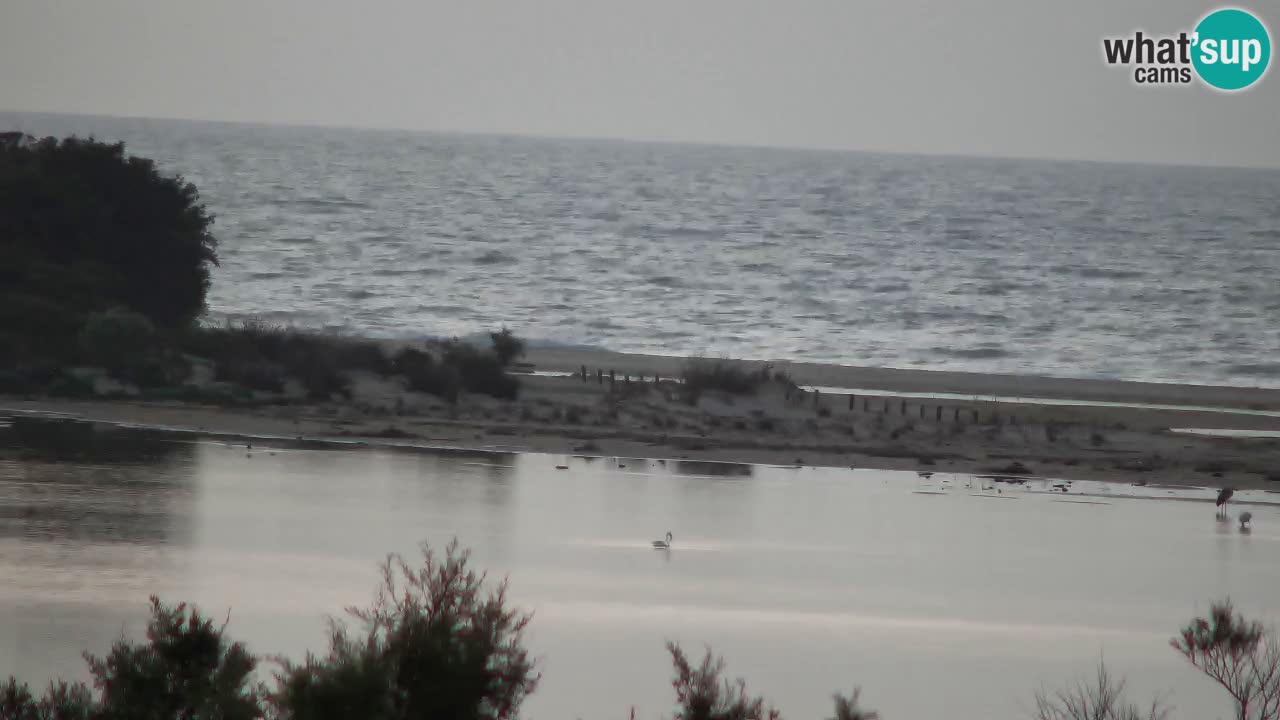 Spletna kamera Chia – Pogled v živo na plažo Su Giudeu