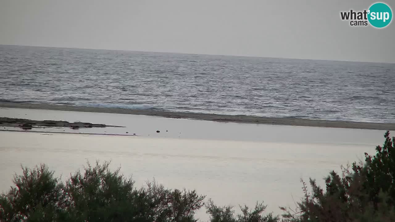 Spletna kamera Chia – Pogled v živo na plažo Su Giudeu