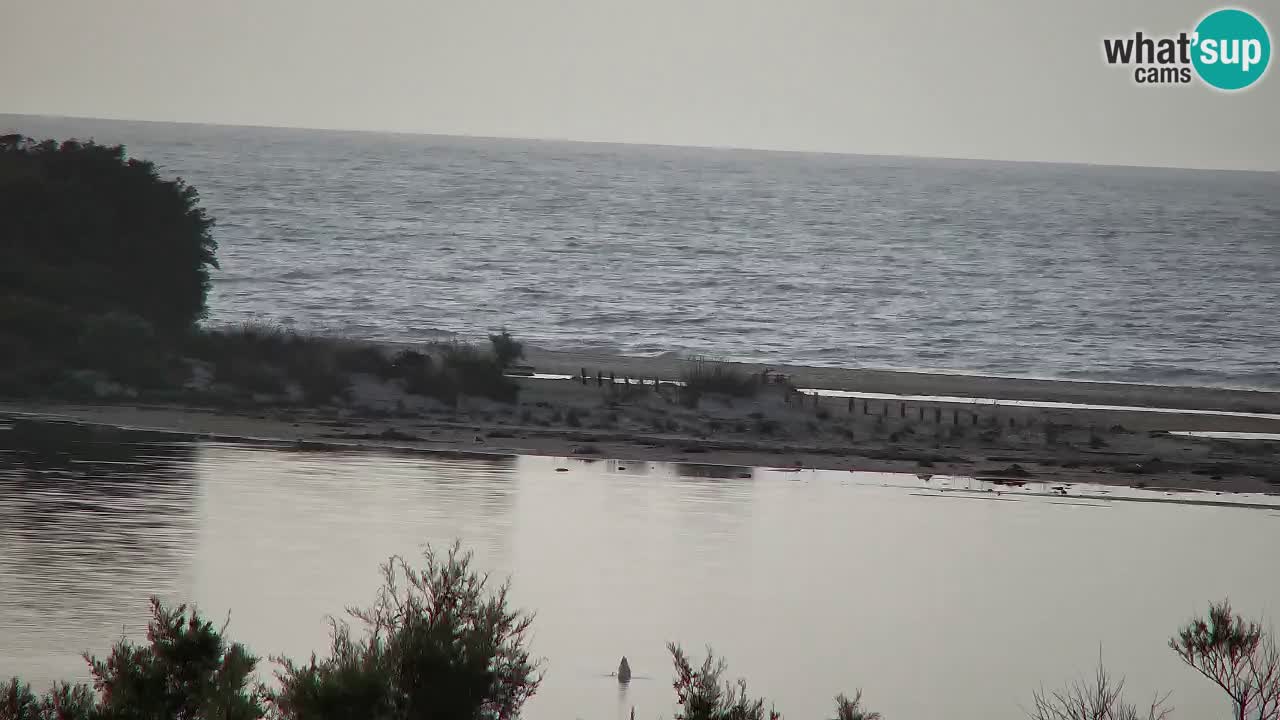 Webcam Chia – Liveblick auf den Strand Su Giudeu