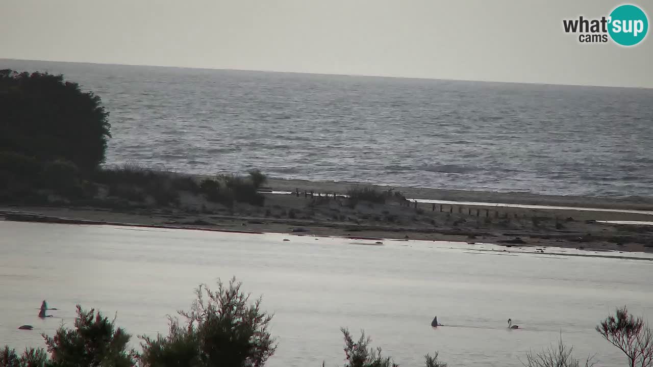 Webcam Chia – Vista en directo de la playa Su Giudeu