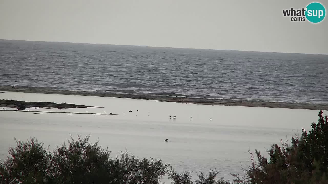 Webcam Chia – Vue en direct de la plage Su Giudeu