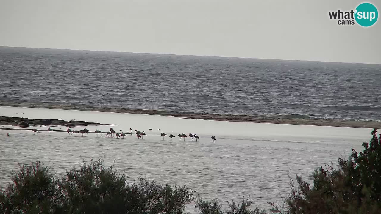 Webcam Chia – Vista en directo de la playa Su Giudeu