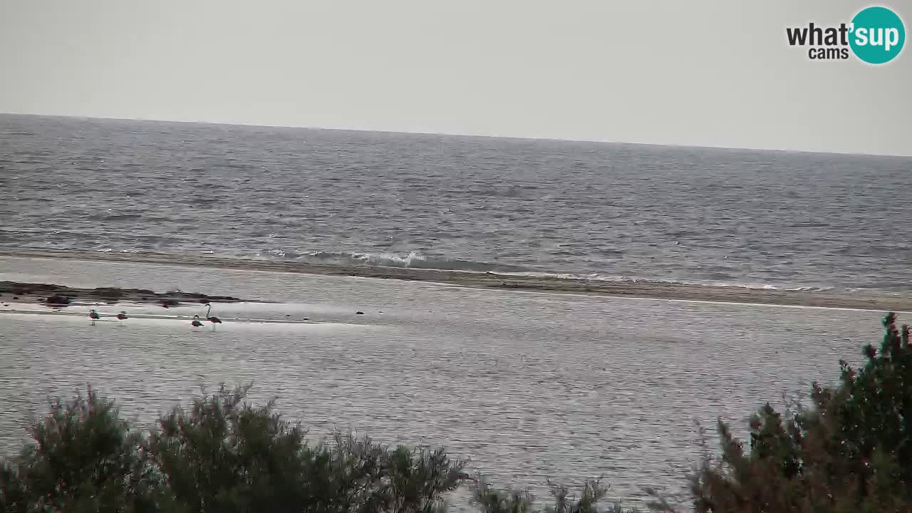 Webcam Chia – Live View of Su Giudeu Beach