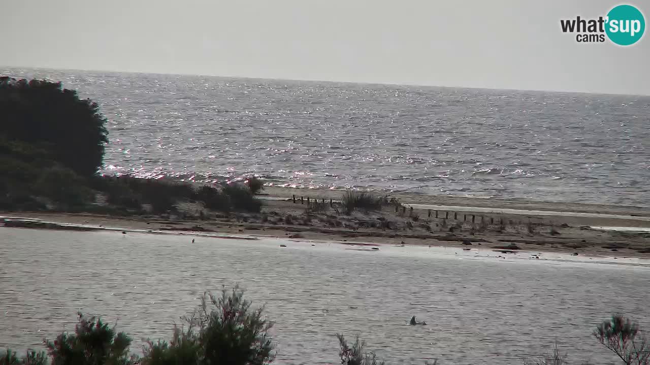 Webcam Chia – Spiaggia Su Giudeu in diretta