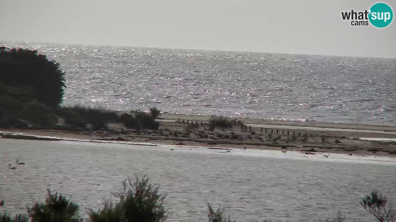 Spletna kamera Chia – Pogled v živo na plažo Su Giudeu