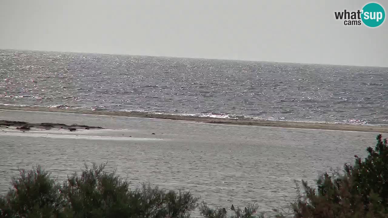 Webcam Chia – Live View of Su Giudeu Beach