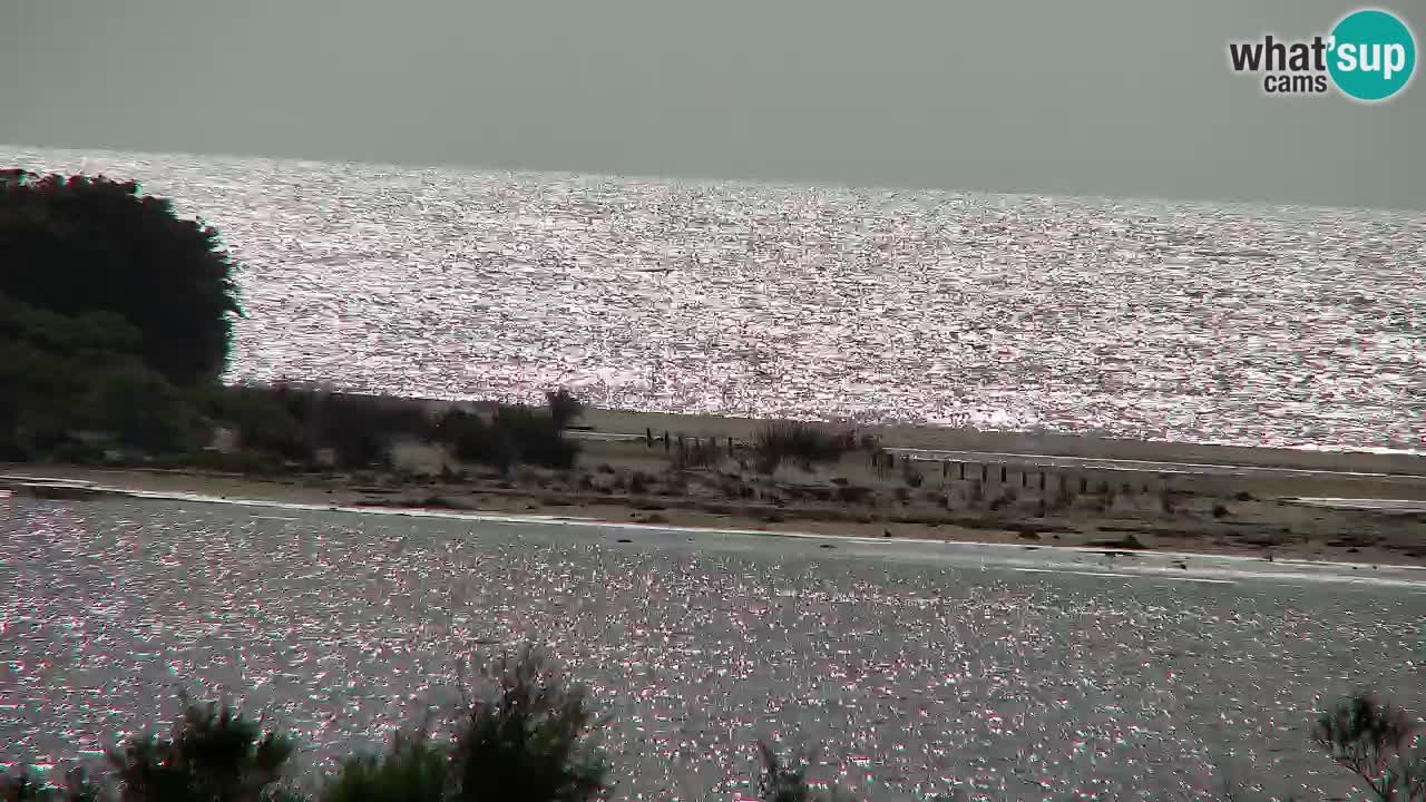 Webcam Chia – Vista en directo de la playa Su Giudeu