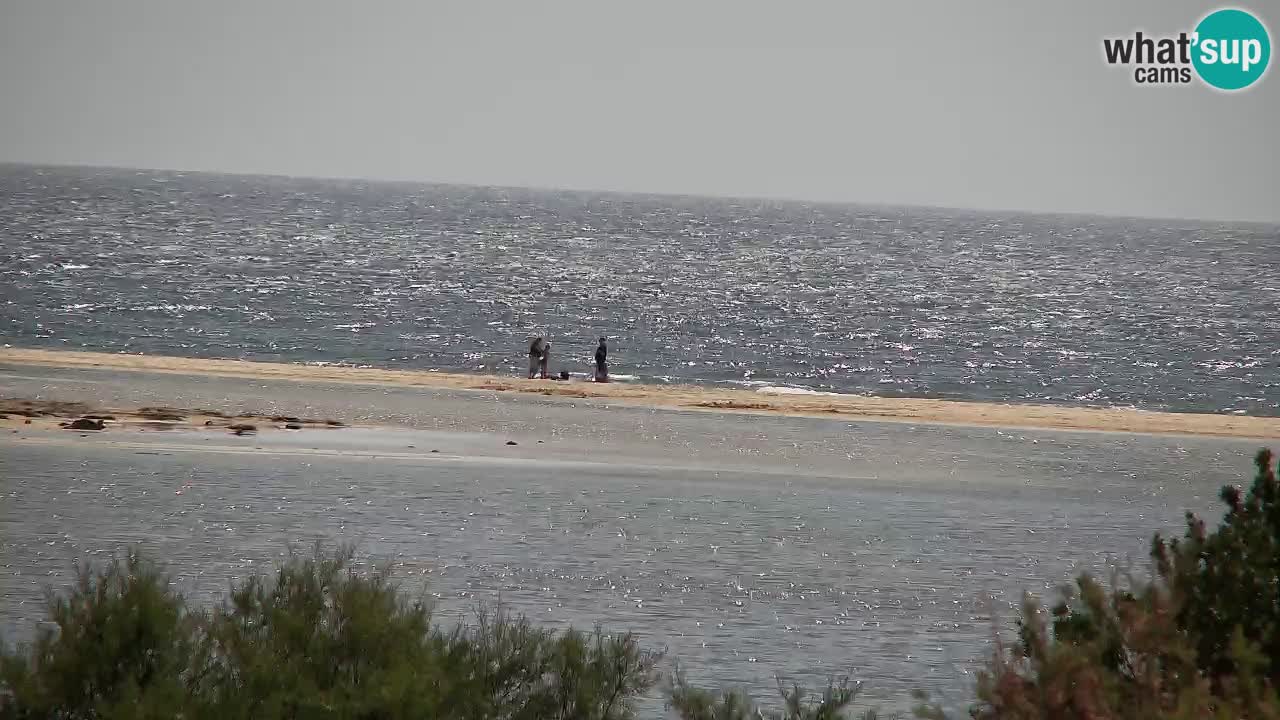 Webcam Chia – Live View of Su Giudeu Beach