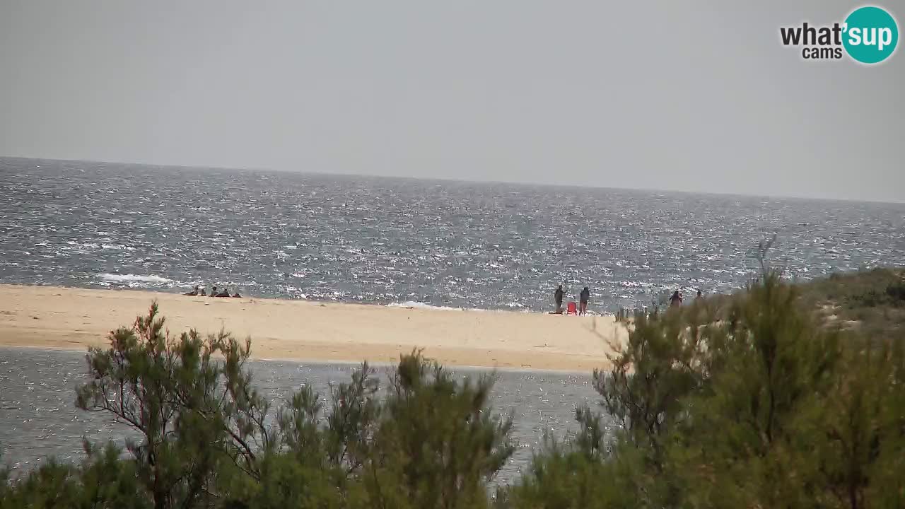 Webcam Chia – Vue en direct de la plage Su Giudeu