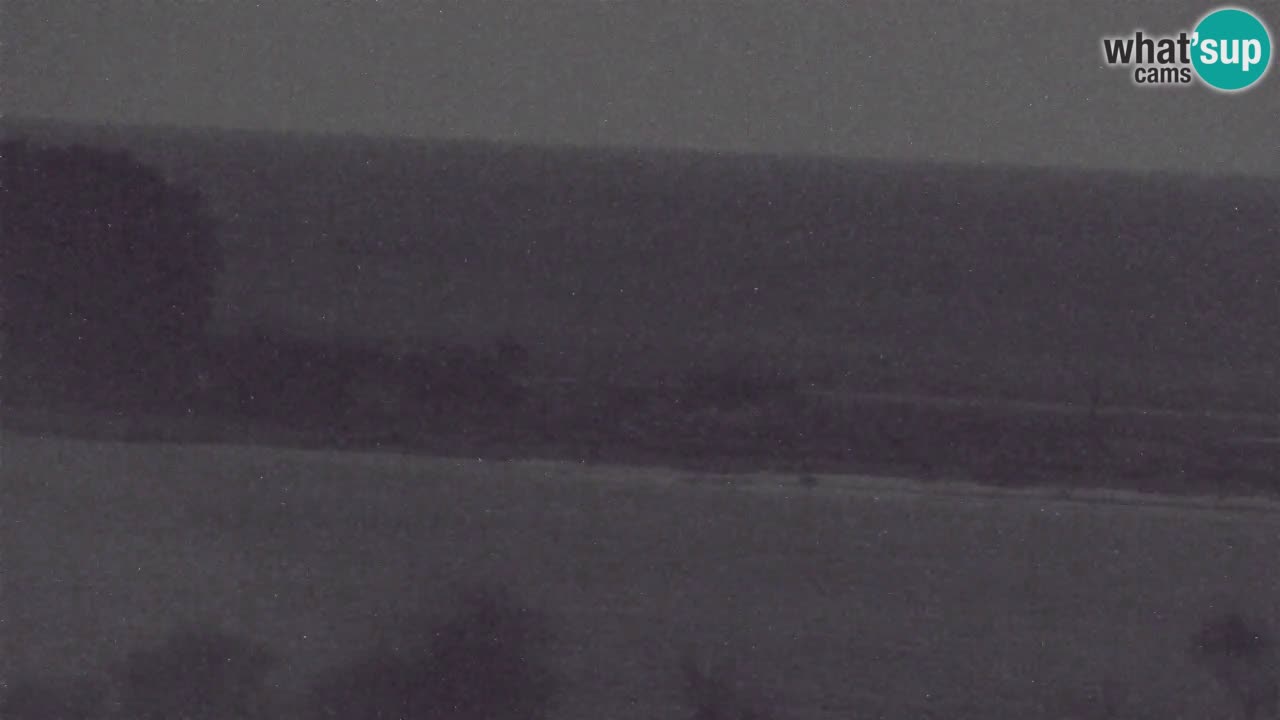 Webcam Chia – Live View of Su Giudeu Beach