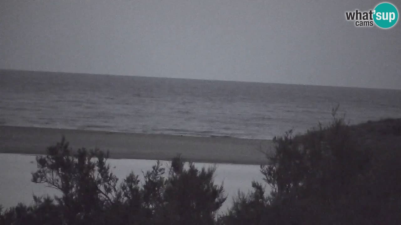 Webcam Chia – Live View of Su Giudeu Beach