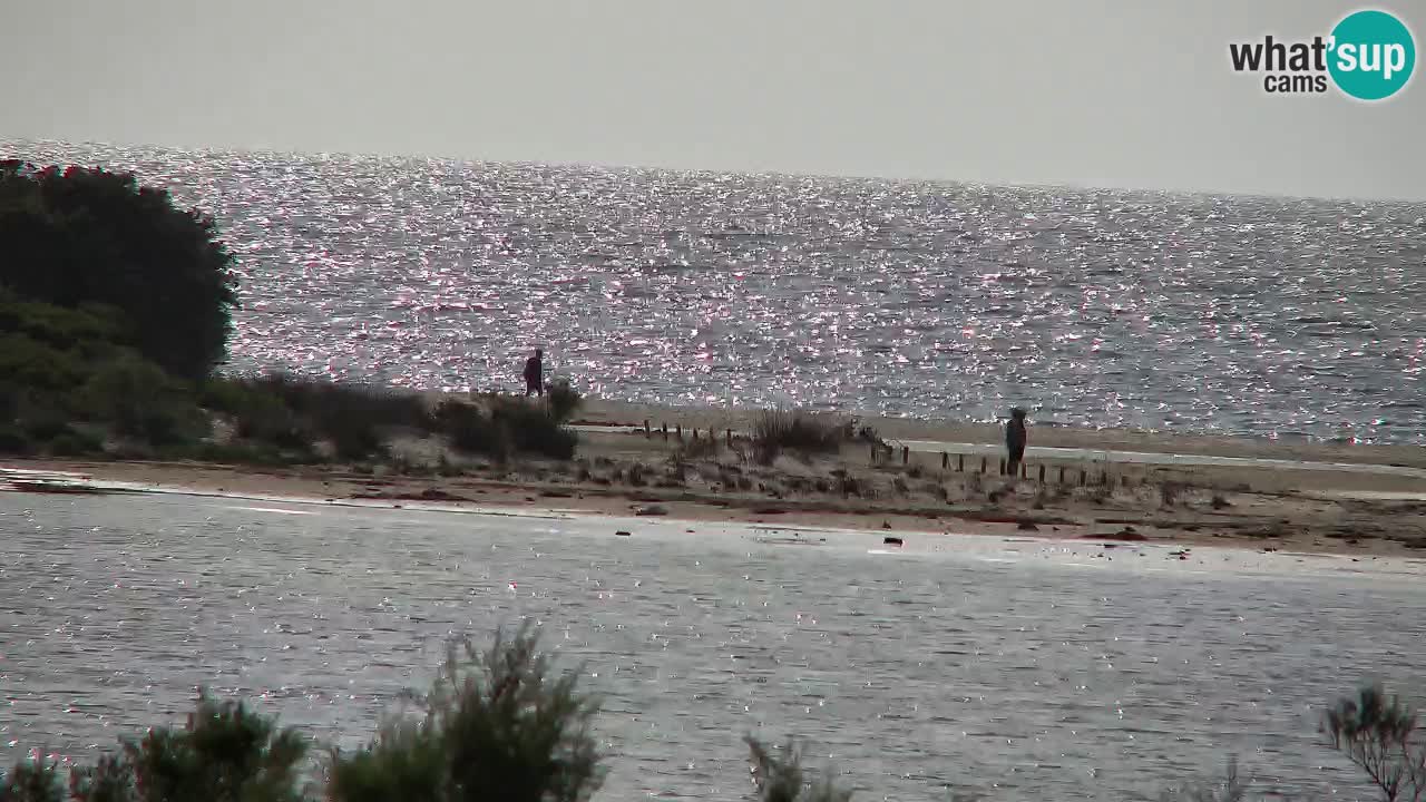 Web kamera Chia – Pogled uživo na plažu Su Giudeu