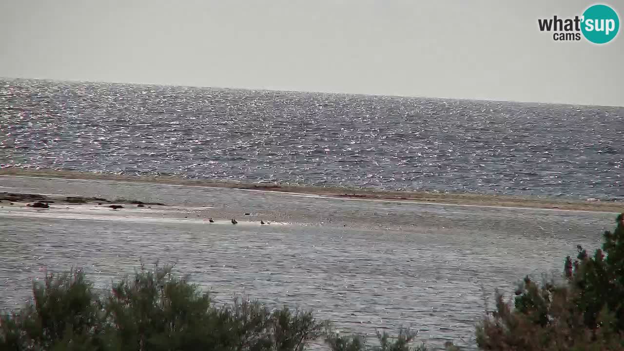 Webcam Chia – Liveblick auf den Strand Su Giudeu