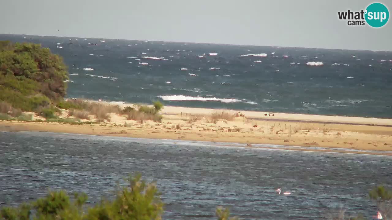 Webcam Chia – Spiaggia Su Giudeu in diretta