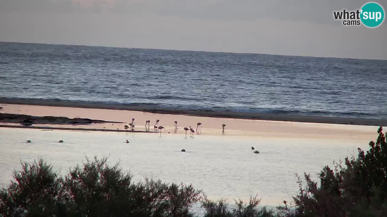 Webcam Chia – Vista en directo de la playa Su Giudeu