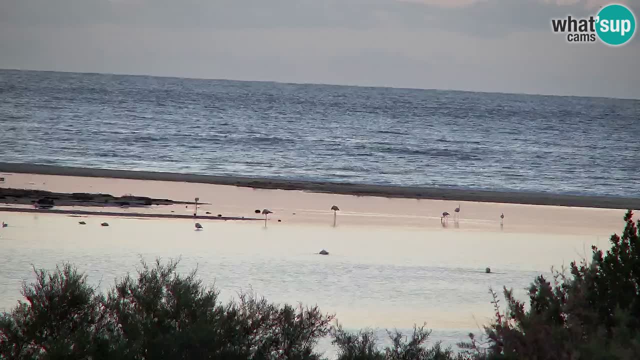Webcam Chia – Vista en directo de la playa Su Giudeu