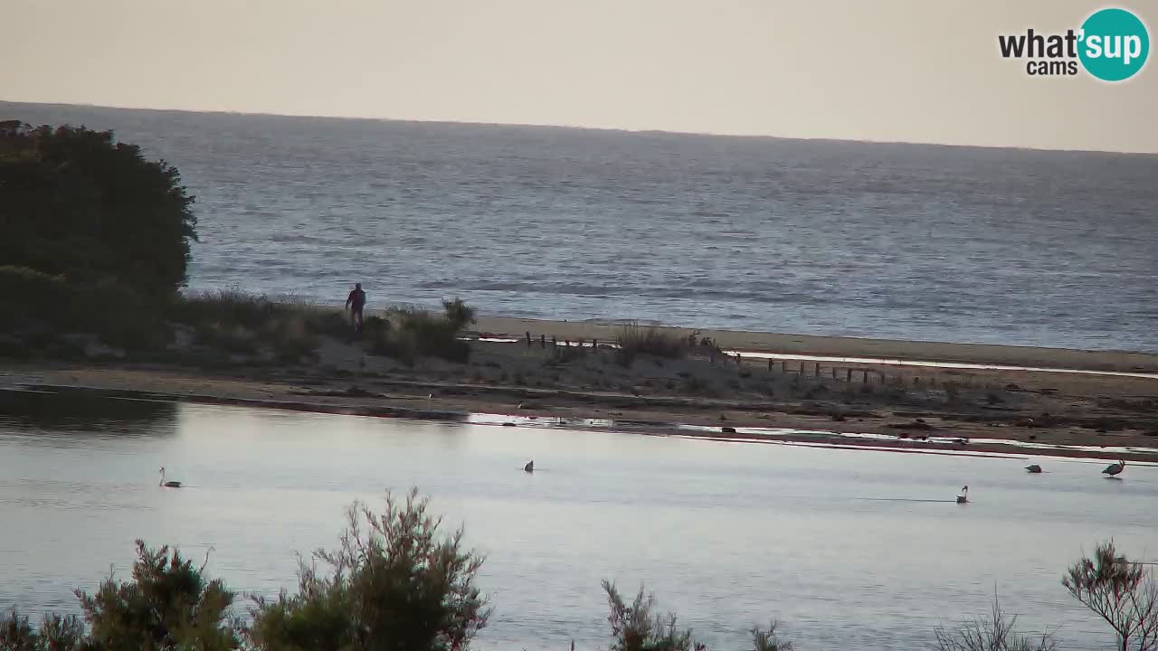Webcam Chia – Vista en directo de la playa Su Giudeu