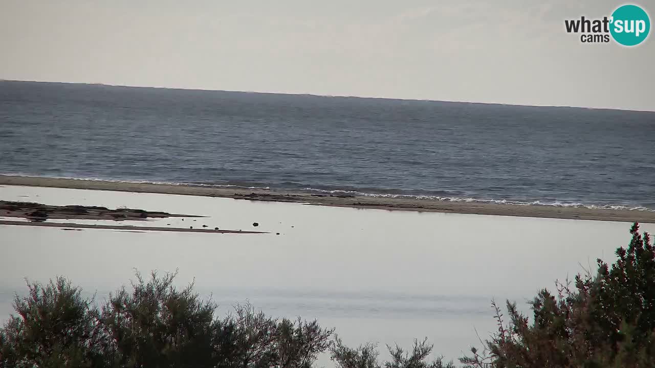 Webcam Chia – Vue en direct de la plage Su Giudeu