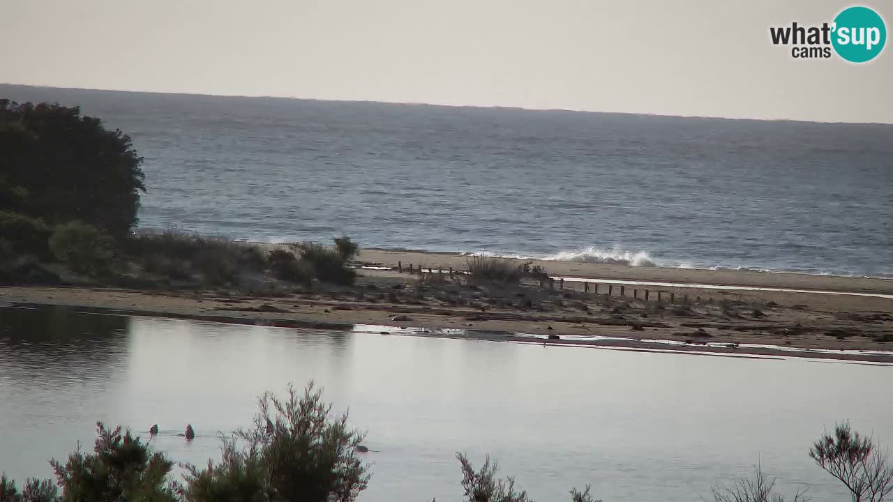Webcam Chia – Live View of Su Giudeu Beach