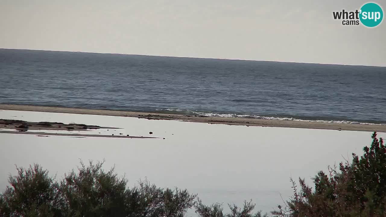 Webcam Chia – Vue en direct de la plage Su Giudeu