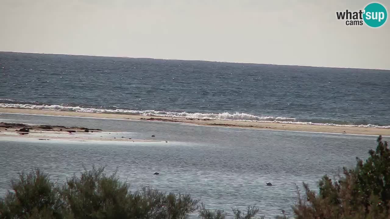 Webcam Chia – Liveblick auf den Strand Su Giudeu