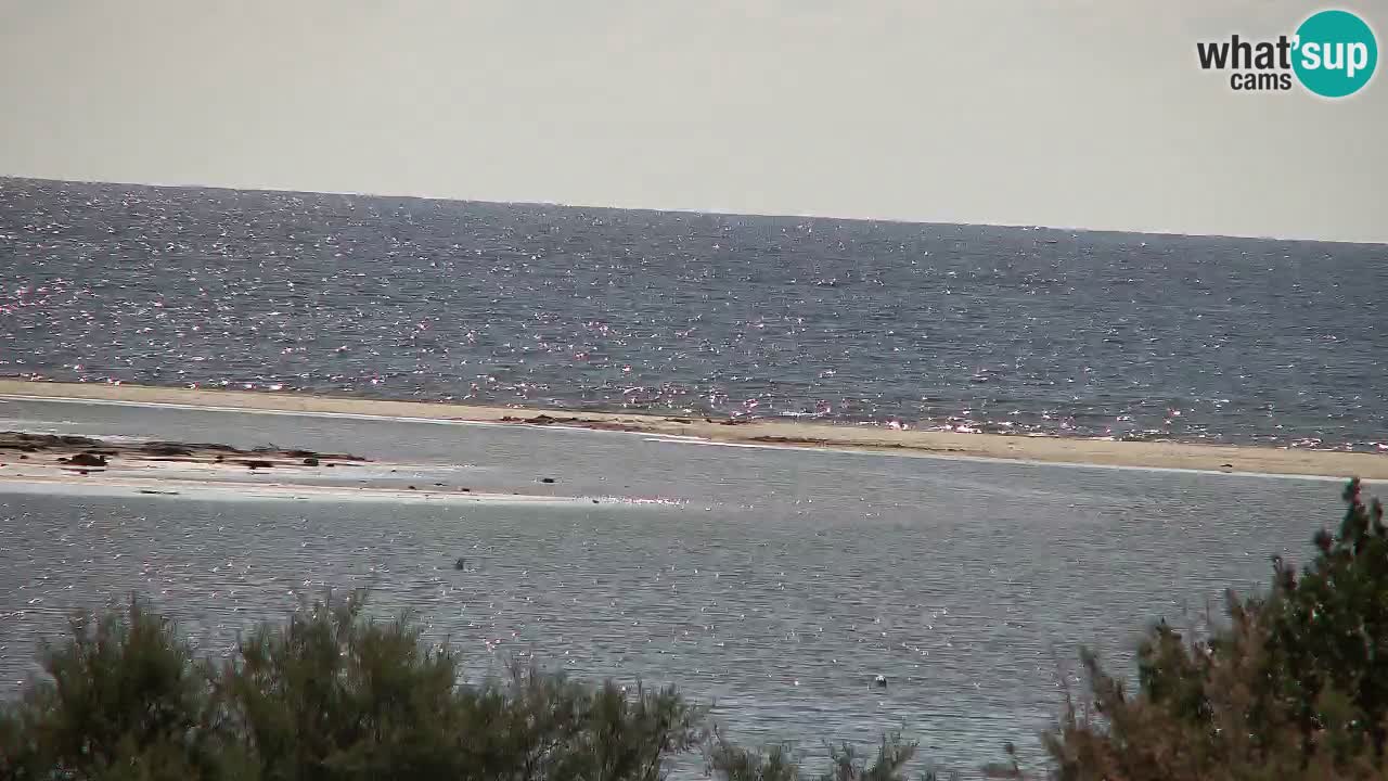 Webcam Chia – Vista en directo de la playa Su Giudeu