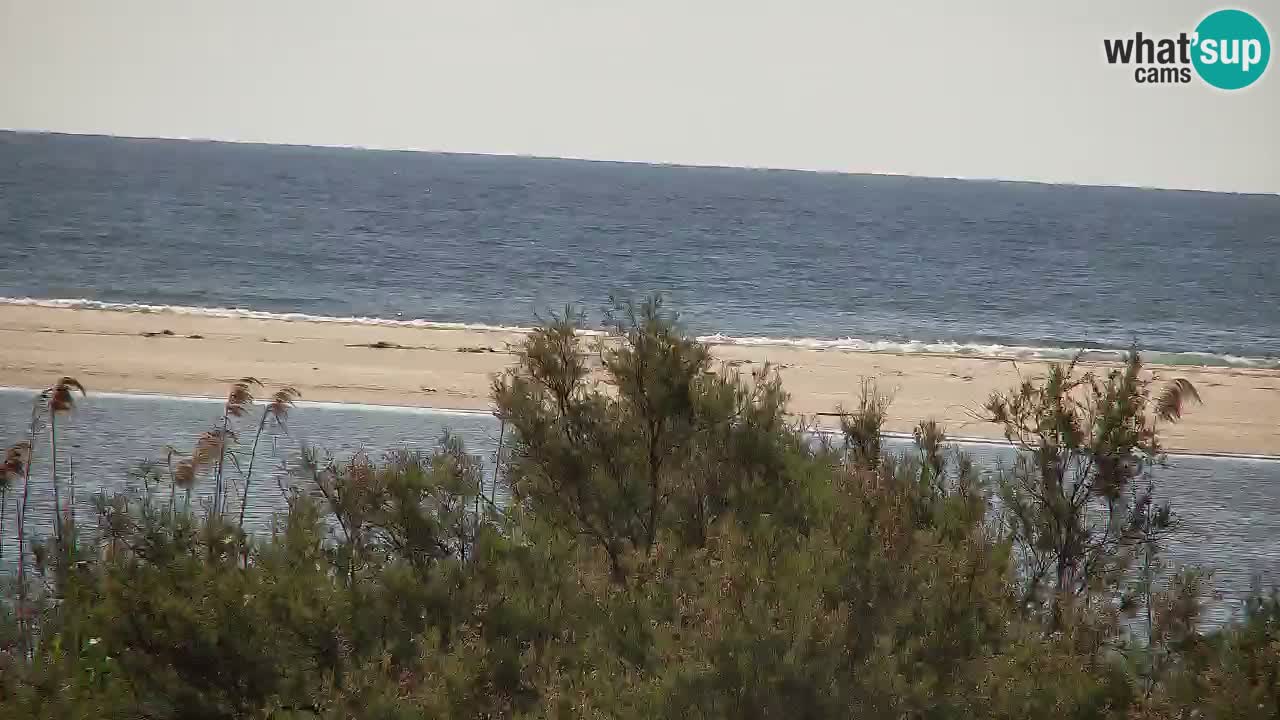 Webcam Chia – Vista en directo de la playa Su Giudeu