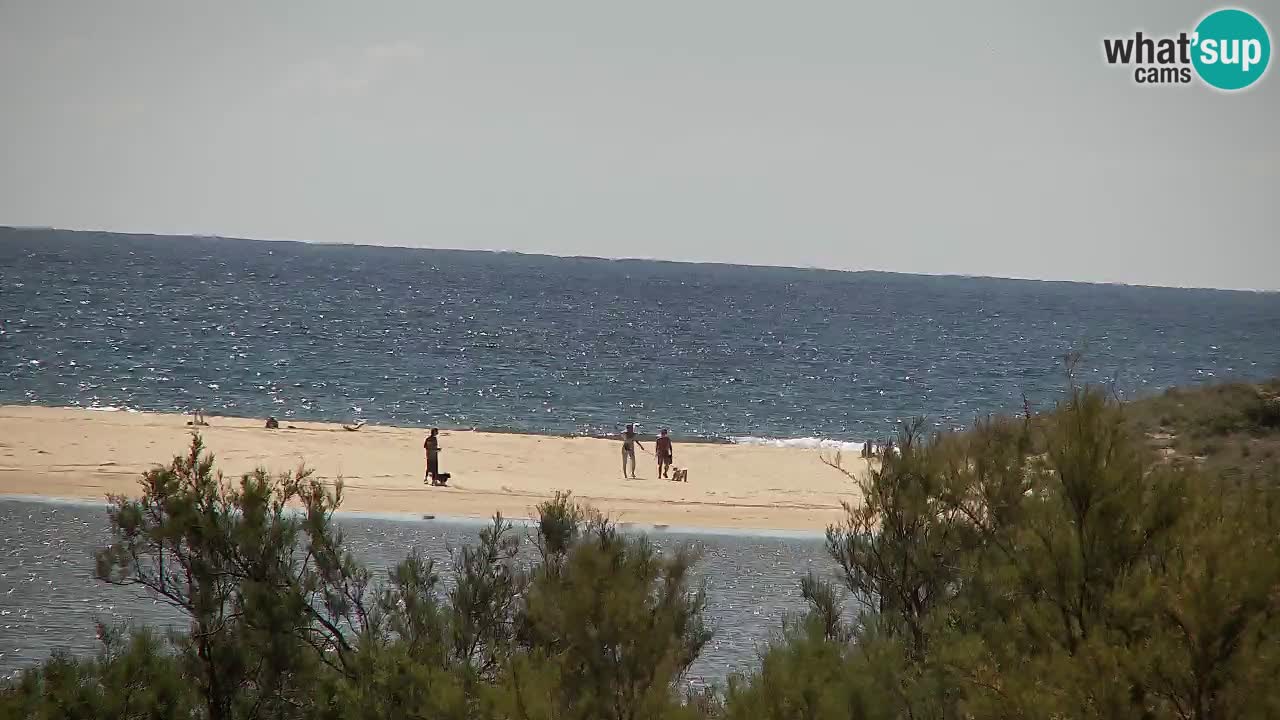 Webcam Chia – Live View of Su Giudeu Beach