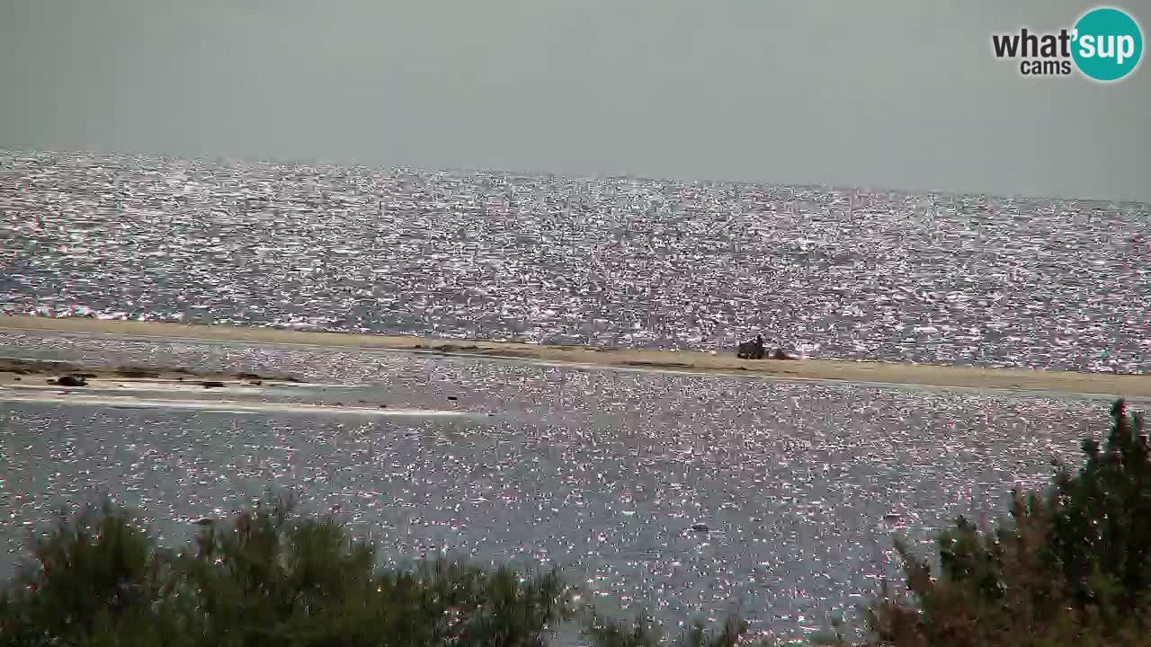 Webcam Chia – Live View of Su Giudeu Beach