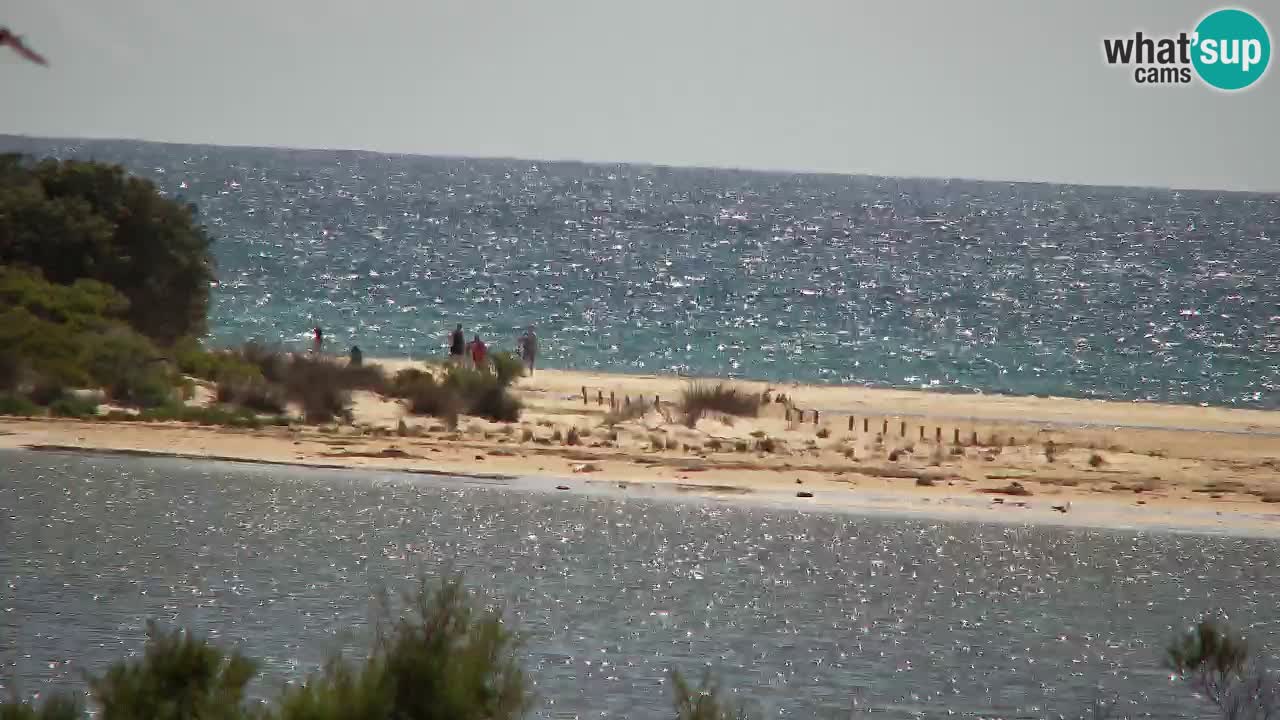 Webcam Chia – Vista en directo de la playa Su Giudeu