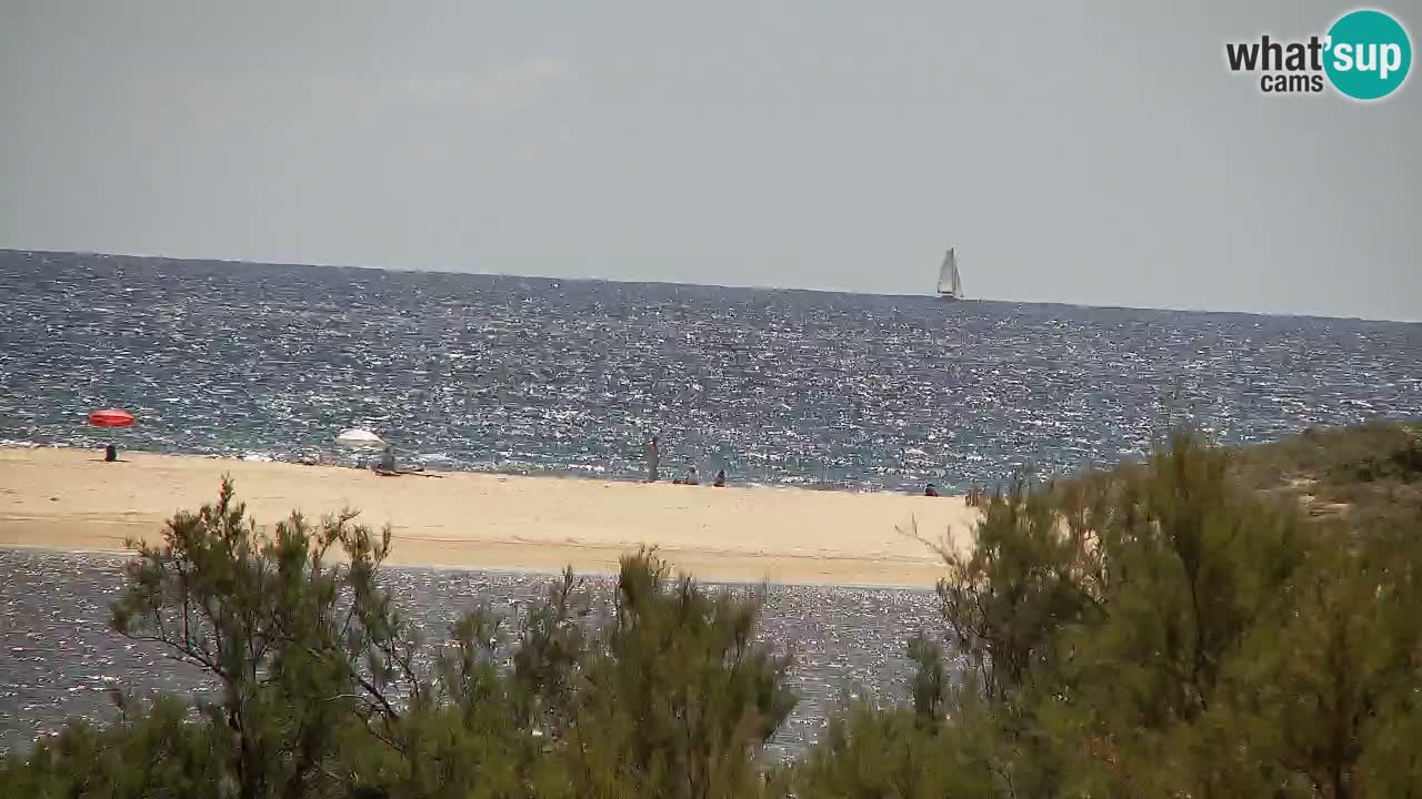 Webcam Chia – Liveblick auf den Strand Su Giudeu