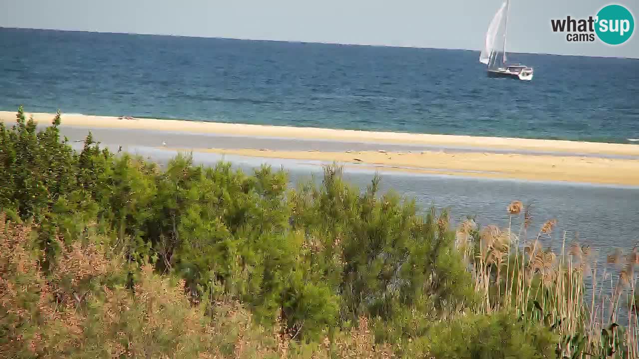 Webcam Chia – Live View of Su Giudeu Beach