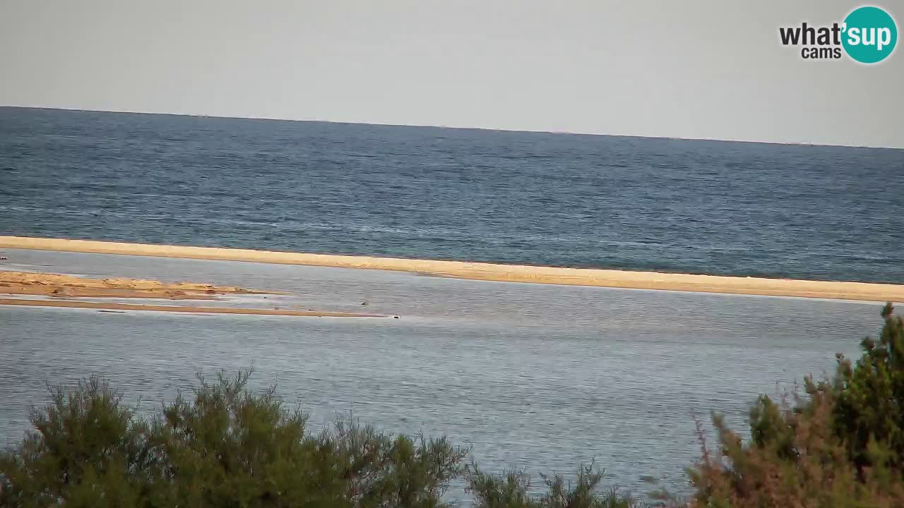 Webcam Chia – Vue en direct de la plage Su Giudeu