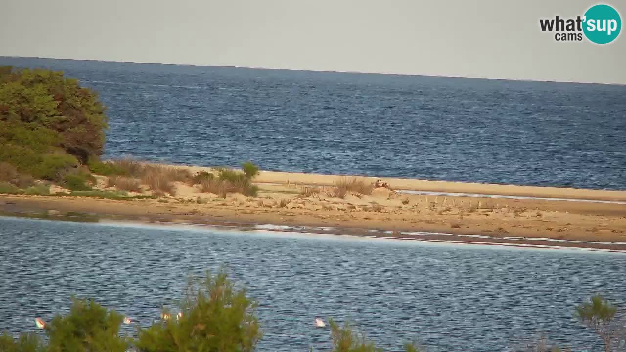 Spletna kamera Chia – Pogled v živo na plažo Su Giudeu