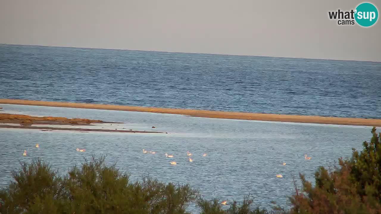 Web kamera Chia – Pogled uživo na plažu Su Giudeu